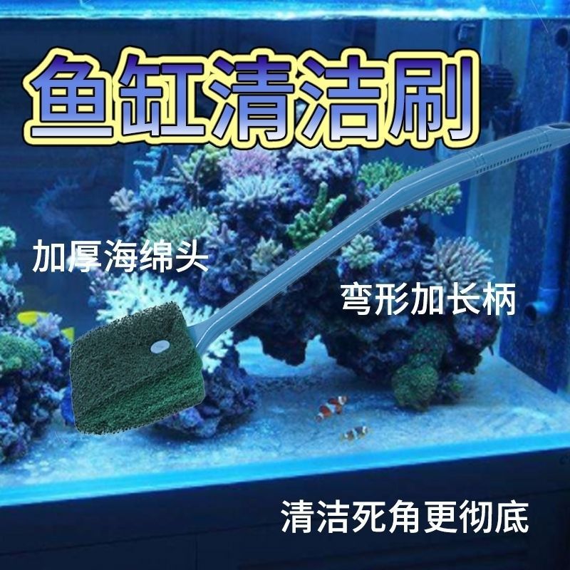 擦魚缸外玻璃用什么擦最干凈：尋找最有效的清潔工具來擦洗魚缸外玻璃時(shí)