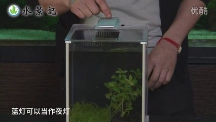 安裝魚缸的視頻：魚缸安裝方法和技巧 魚缸百科 第1張