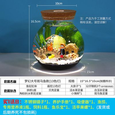 斗魚缸尺寸：斗魚缸尺寸選擇對(duì)于斗魚的健康和生活環(huán)境至關(guān)重要