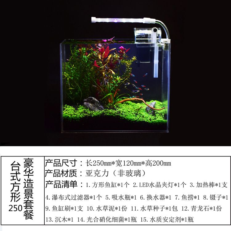 斗魚缸尺寸：斗魚缸尺寸選擇對于斗魚的健康和生活環(huán)境至關(guān)重要 魚缸百科 第4張