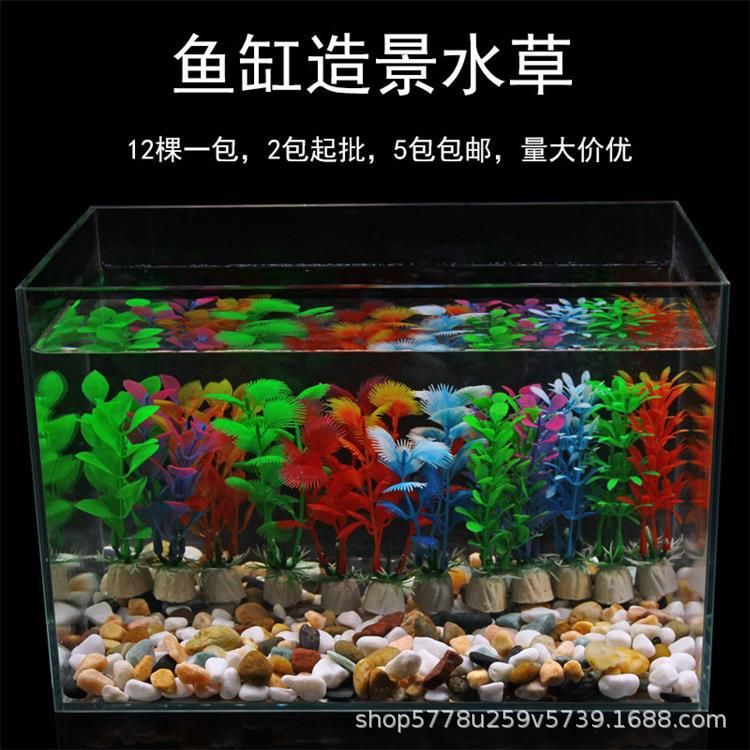 10cm魚缸造景：10cm魚缸造景需要考慮到空間的限制，需要考慮到空間的限制