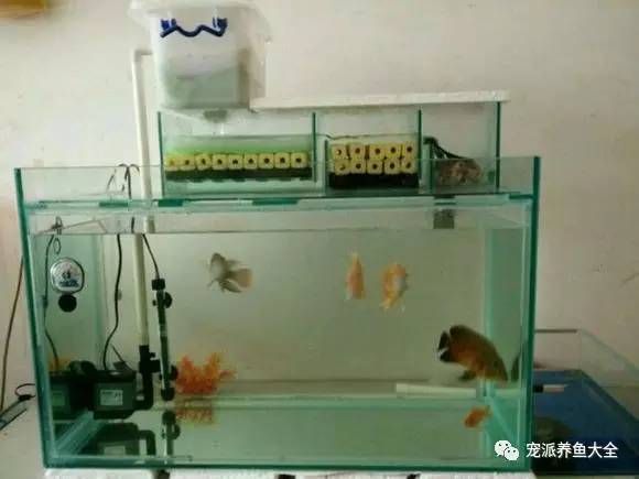 安裝魚缸視頻：名亨魚缸安裝教程名亨魚缸安裝教程名亨魚缸安裝教程