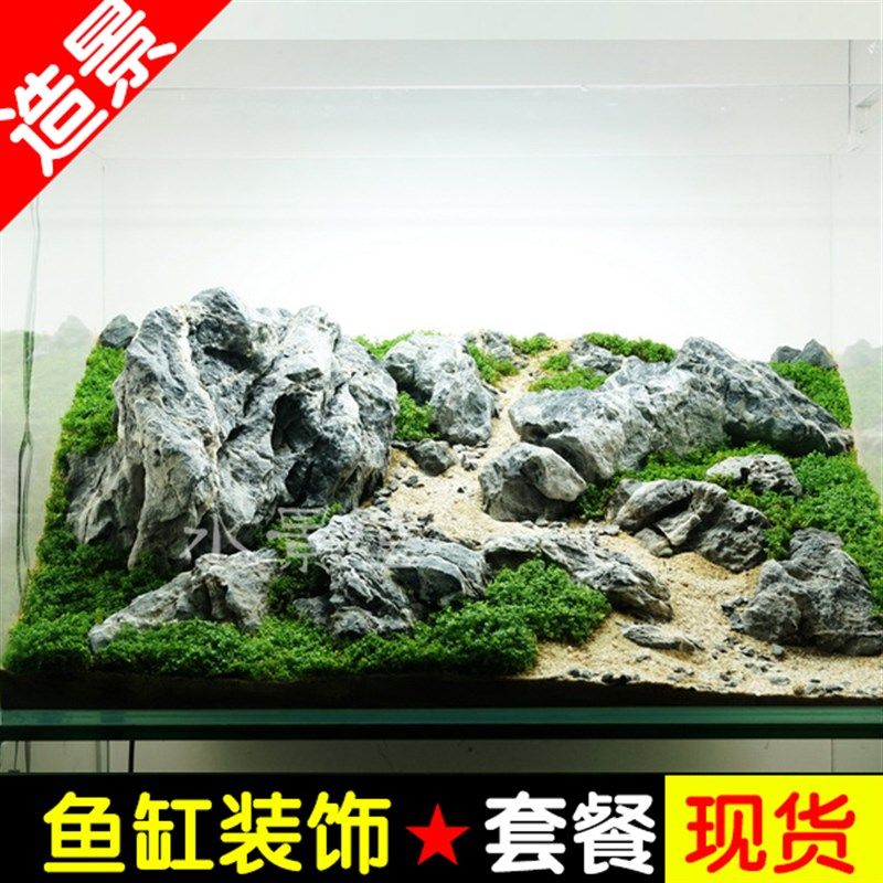 100cm魚缸造景：100cm魚缸造景關(guān)鍵步驟和注意事項和注意事項