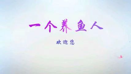 龍魚的作文300字三年級(jí)：小學(xué)三年級(jí)作文：我家的龍魚