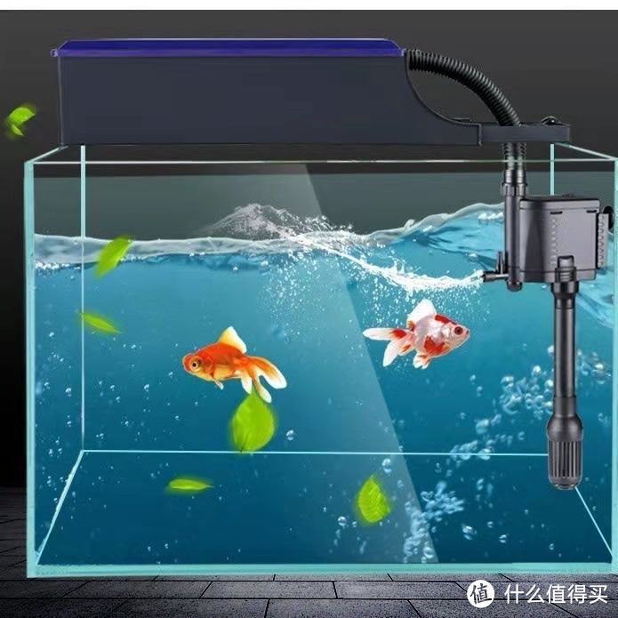 大型魚缸過濾器哪種好一點(diǎn)：商仟湖of艾潔凈水器仟湖of艾潔凈水器 魚缸百科 第1張