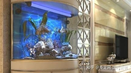 大型透明塑料魚缸：大型透明塑料魚缸在選擇和使用時需要考慮材質(zhì)、安全性以及造景 魚缸百科 第1張