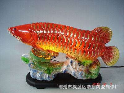 金龍魚吉祥：金龍魚吉祥語 龍魚百科 第1張