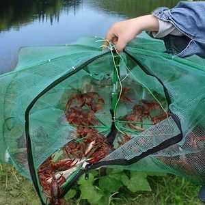 龍魚(yú)喂蝦好還是小魚(yú)好：在討論龍魚(yú)喂蝦和小魚(yú)哪個(gè)更好 龍魚(yú)百科