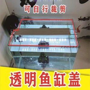 成品魚缸蓋子怎么拆卸：自制大型魚缸如何保養(yǎng)魚缸 魚缸百科 第3張