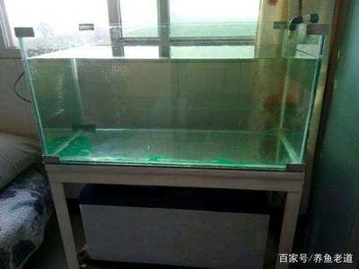 玻璃魚缸制作過程圖