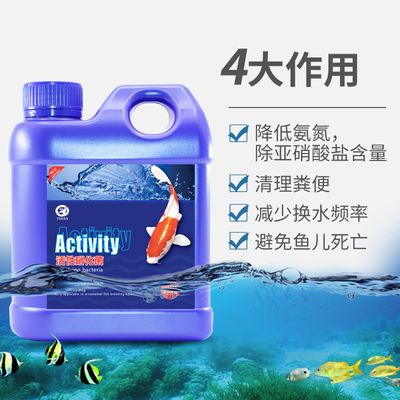 多久清理一次魚缸：魚缸清理頻率多少 魚缸百科 第4張