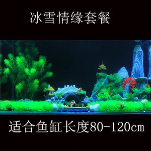 冰雪奇緣魚缸造景圖：“冰雪奇緣”魚缸造景的基本步驟和要點和要點和要點 魚缸百科 第1張