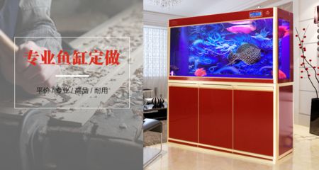 把魚缸鑲在墻里面的設(shè)計(jì)圖案：如何在墻內(nèi)制作魚缸 魚缸百科 第1張