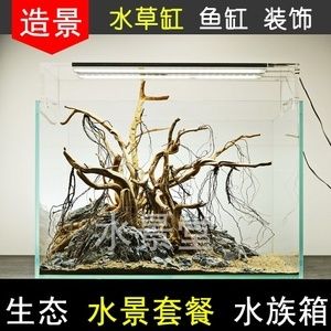 大石頭魚缸造景：大石頭魚缸造景石頭的選擇和擺放