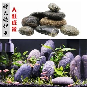 大石頭魚缸造景：大石頭魚缸造景石頭的選擇和擺放 魚缸百科 第4張