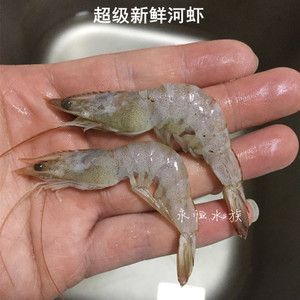 龍魚不吃河蝦嗎為什么：龍魚是否喜歡吃河蝦 龍魚百科 第2張