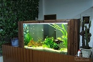 大型魚缸自己怎么做視頻：大型魚缸制作步驟制作大型魚缸需要按照一定的步驟進行 魚缸百科 第4張