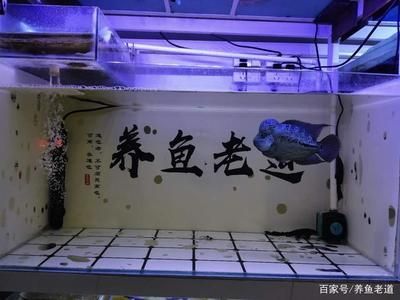 不銹鋼魚缸：不銹鋼魚缸的定義和用途