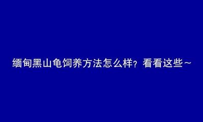 不用清理魚(yú)缸的魚(yú)叫什么龜：清潔魚(yú)缸中的垃圾和廢物，可以幫助清理魚(yú)缸中的垃圾和廢物