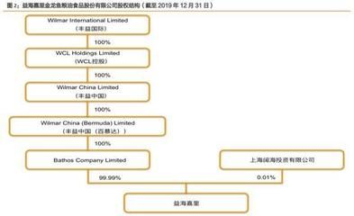 金龍魚股權(quán)分配：金龍魚的股權(quán)分派 龍魚百科 第1張