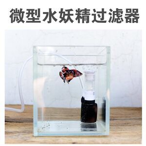 斗魚缸需要過濾器嗎怎么用：養(yǎng)好斗魚時，魚缸是否需要過濾器以及如何使用