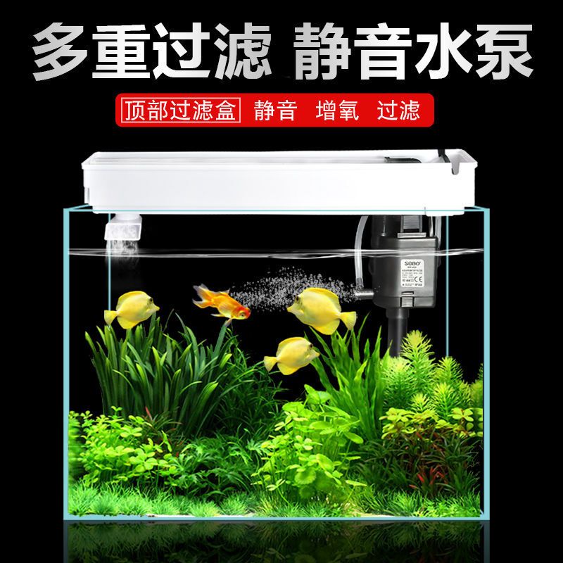 斗魚缸需要過濾器嗎怎么用：養(yǎng)好斗魚時，魚缸是否需要過濾器以及如何使用