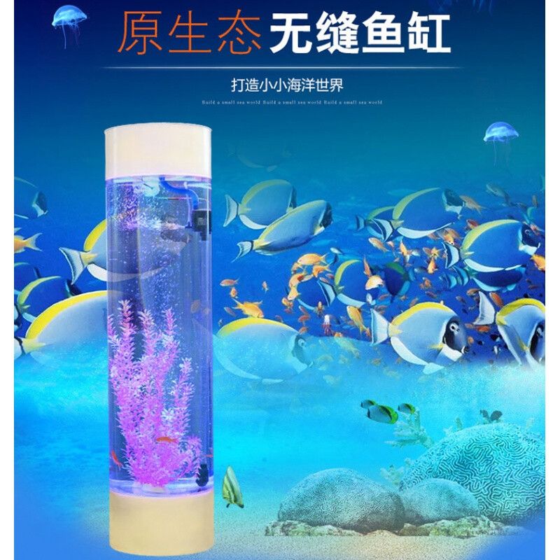 大型圓柱亞克力魚缸過濾系統(tǒng)圖：大型圓柱亞克力魚缸的保養(yǎng) 魚缸百科 第1張