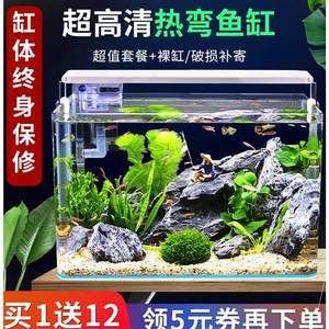 大鱷龜魚缸造景：大鱷龜魚缸造景需要注意的幾個問題