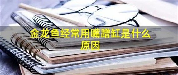 金龍魚蹭缸是什么原因：金龍魚蹭缸是什么原因引起金龍魚蹭缸的行為可能由多種原因引起