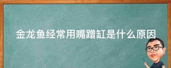 金龍魚蹭缸是什么原因：金龍魚蹭缸是什么原因引起金龍魚蹭缸的行為可能由多種原因引起 龍魚百科 第2張