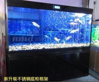 愛馬魚缸怎么樣清洗 魚缸百科 第4張