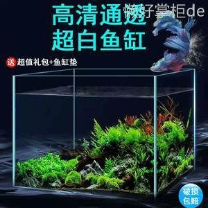 玻璃魚缸造景方法視頻：玻璃魚缸造景的基本步驟和技巧 魚缸百科 第1張