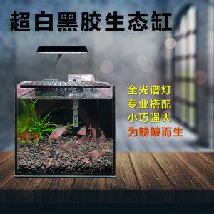 超白魚缸和普通魚缸對(duì)比哪個(gè)好：超白魚缸和普通魚缸各有優(yōu)缺點(diǎn) 魚缸百科 第3張