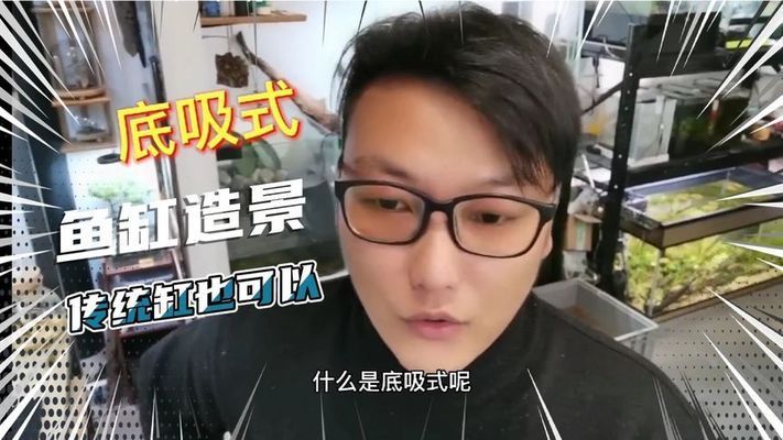 大魚缸改造成水草缸好嗎：如何改造大魚缸成為水草缸 魚缸百科 第1張