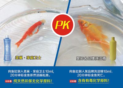 家庭魚缸品牌十大排名：家庭水族品牌十大排名