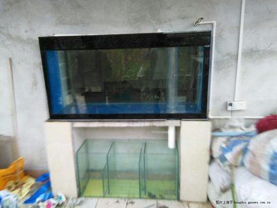 家庭用水族魚缸怎么選擇：家庭養(yǎng)殖觀賞魚成功與否的關(guān)鍵