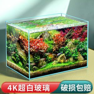 家用觀賞魚缸廠家批發(fā)價格多少錢一個：家用觀賞魚缸廠家批發(fā)價格列表和詳細(xì)批發(fā)優(yōu)惠信息 魚缸風(fēng)水 第1張