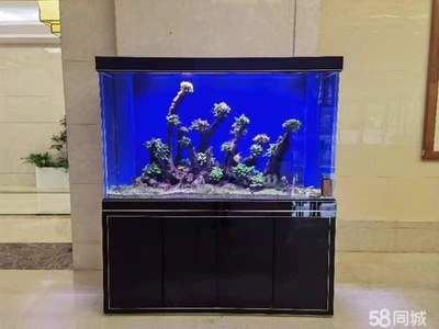 寵物用品魚(yú)缸水族箱怎么用的啊