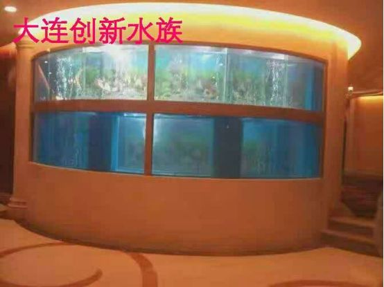 出售二手海鮮魚缸：個人二手魚缸出售注意事項二手魚缸出售注意事項 魚缸百科 第2張