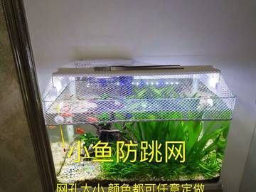 家庭魚缸品牌排行：家庭魚缸品牌哪個牌子好