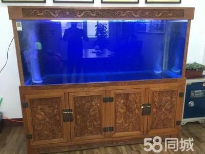 家用魚缸用什么消毒好呢：幾種常見的家用魚缸消毒方法 魚缸風水 第1張