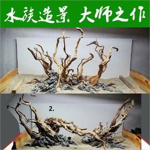 杜鵑藤魚缸造景：杜鵑根的養(yǎng)護(hù)秘籍 魚缸百科 第3張