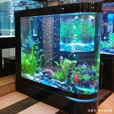 不用的魚缸怎么處理才不影響財(cái)運(yùn)運(yùn)氣：如何處理不用的魚缸？ 魚缸百科 第3張