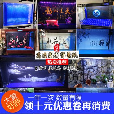 龍魚缸背景畫法：如何設(shè)計龍魚缸背景