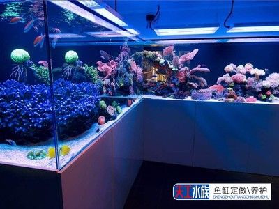 搬魚缸怎么搬需要拆開嗎：搬魚缸搬運(yùn)時需要注意什么，搬魚缸需要注意什么工具 魚缸百科 第1張