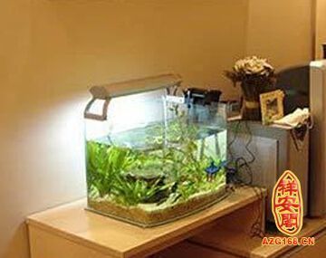 家里放4個魚缸好么風水 魚缸風水 第4張