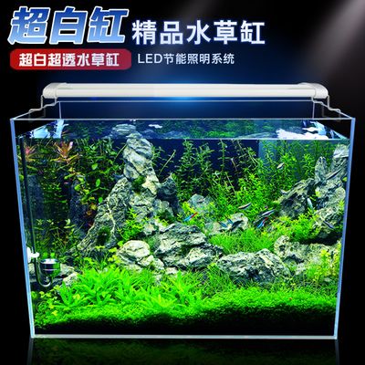 玻璃魚缸為什么那么貴 魚缸百科 第4張