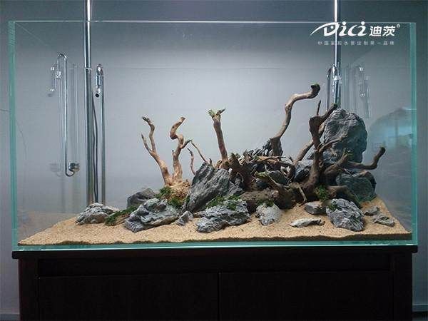 成品魚缸可以造景嗎視頻教學(xué) 魚缸百科 第2張