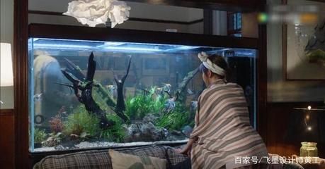 超大魚缸：制作超大魚缸需要選擇合適的材料和遵循一定的流程 魚缸百科 第1張