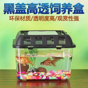 超白缸魚缸多少錢：如何選擇合適的超白缸魚缸 魚缸百科 第3張